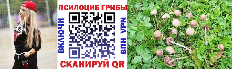 Галлюциногенные грибы Psilocybe  Усмань 